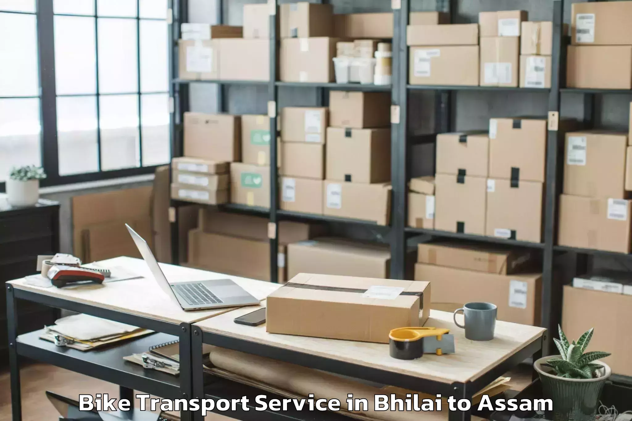 Comprehensive Bhilai to Tezpur Bike Transport